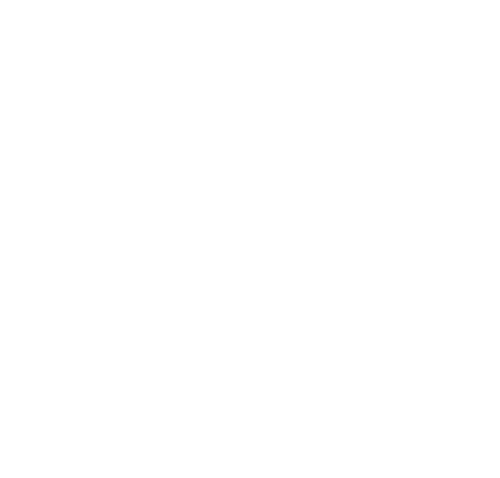 bvm logo